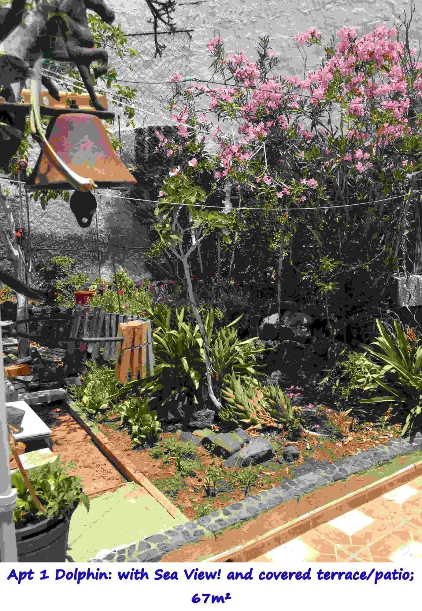 Casa Las Playitas -Clp- Best Sea View - In 1 Minute Ocean Las Playas 외부 사진
